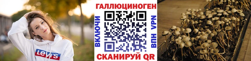Галлюциногенные грибы ЛСД купить наркотики цена гидра ONION Ржев